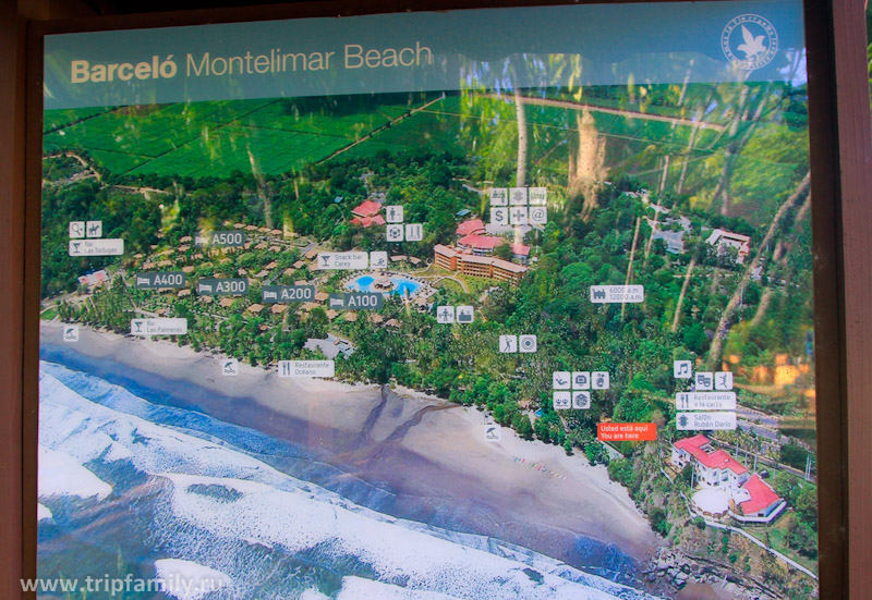 Территория отеля Barcelo Montelimar Beach на картинке. 