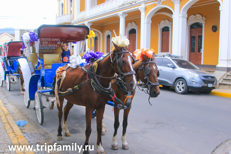Нарядные лошадки - стандартный транспорт для любопытных туристов. 